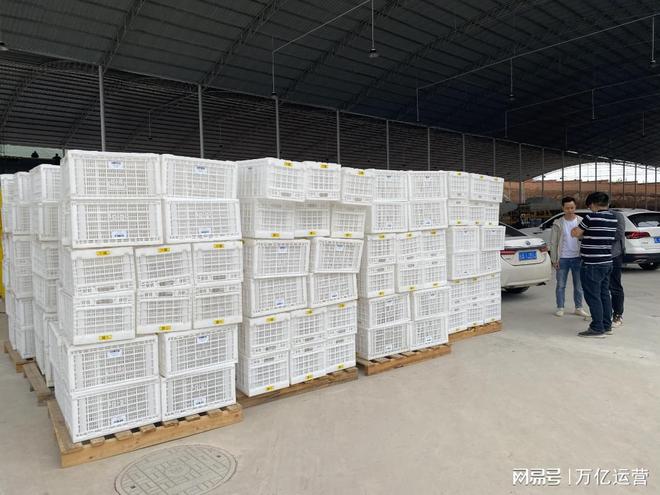 开元体育·(中国)官方网站塑料周转筐多少钱一个？规格尺寸一般多少？
